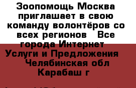 Зоопомощь.Москва приглашает в свою команду волонтёров со всех регионов - Все города Интернет » Услуги и Предложения   . Челябинская обл.,Карабаш г.